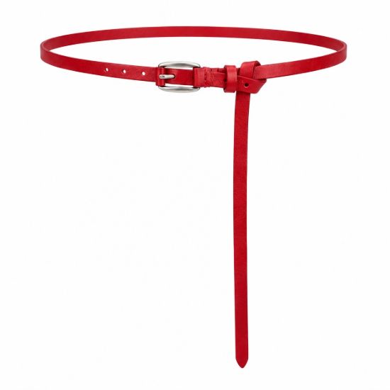 Picture of Belt